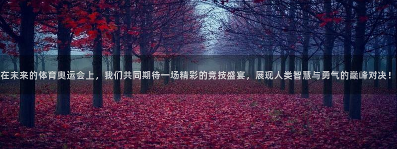 抖球体育：在未来的体育奥运会上，我们共同期待一场精彩的竞技盛宴，展现人类智慧与勇气的巅峰对决！