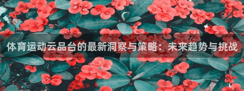 抖球体育app手机版免费：体育运动云品台的最新洞察与策略：未来趋势与挑战