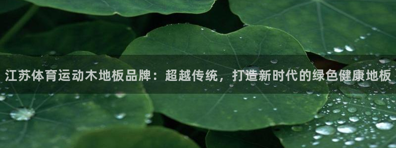 抖球体育直播：江苏体育运动木地板品牌：超越传统，打造新时代的绿色健康地板