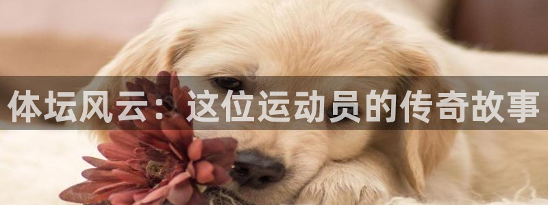 抖球体育app手机版免费：体坛风云：这位运动员的传奇故事